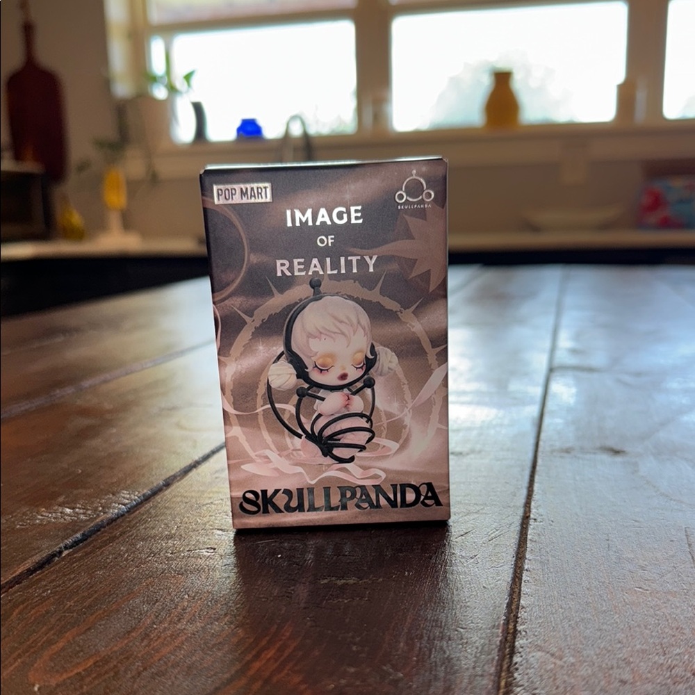 Skullpanda Image of Reality